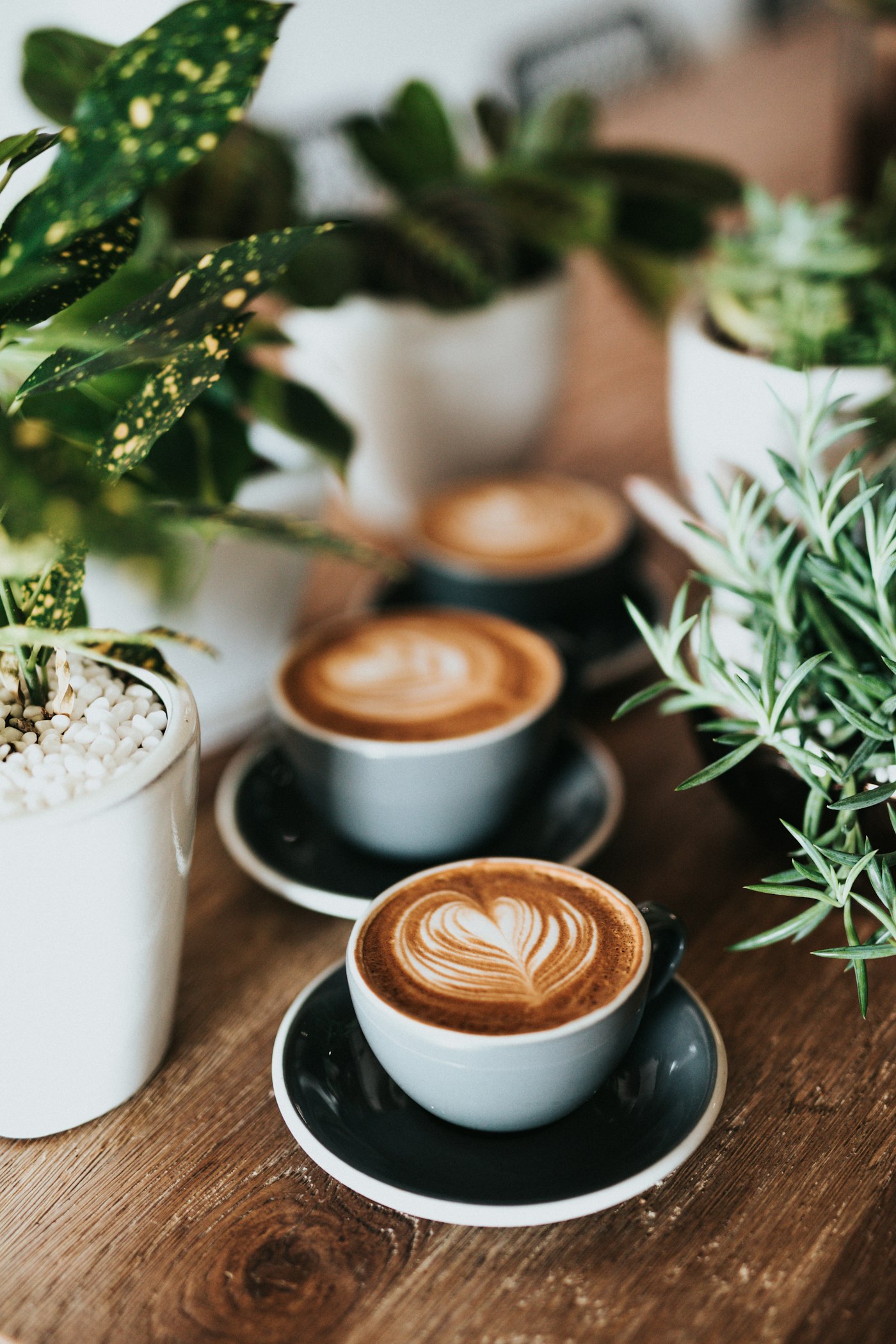 Kenyan coffee